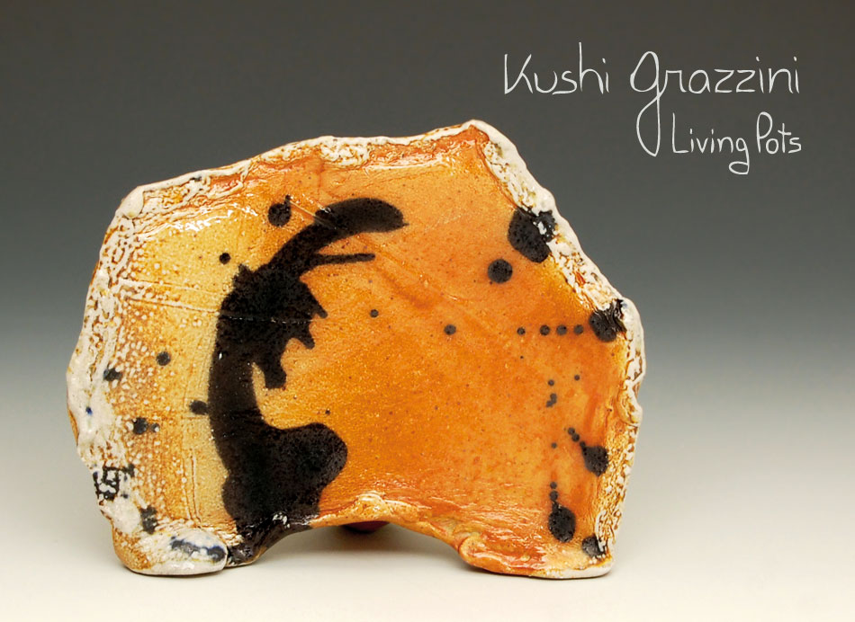 Kushi Grazzini - Living Pots - Ceramic Art
